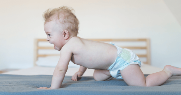 11 Aylık Bebek Gelişimi